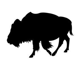 Buffalo Silhouette on White Background