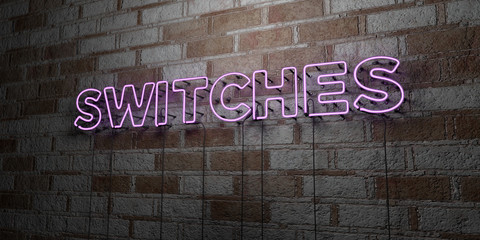 SWITCHES - Glowing Neon Sign on stonework wall - 3D rendered royalty free stock illustration.  Can be used for online banner ads and direct mailers..