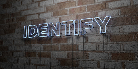 IDENTIFY - Glowing Neon Sign on stonework wall - 3D rendered royalty free stock illustration.  Can be used for online banner ads and direct mailers..