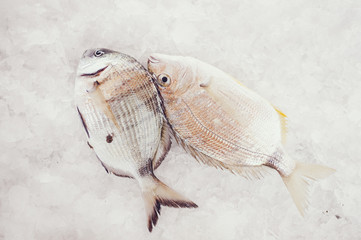 Dorade fraîche sur l'étal du poissonnier