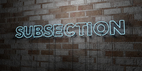 SUBSECTION - Glowing Neon Sign on stonework wall - 3D rendered royalty free stock illustration.  Can be used for online banner ads and direct mailers..