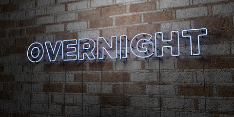 OVERNIGHT - Glowing Neon Sign on stonework wall - 3D rendered royalty free stock illustration.  Can be used for online banner ads and direct mailers..