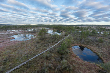 Fototapeta premium Sunrise in the bog. Icy cold marsh. Frosty ground. Swamp lake and nature. Freeze temperatures in moor. Muskeg natural environment. Beautiful trees, sky and cloud reflection in water in the fen.