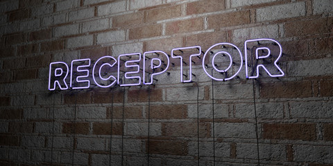 RECEPTOR - Glowing Neon Sign on stonework wall - 3D rendered royalty free stock illustration.  Can be used for online banner ads and direct mailers..