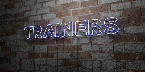 TRAINERS - Glowing Neon Sign on stonework wall - 3D rendered royalty free stock illustration.  Can be used for online banner ads and direct mailers..
