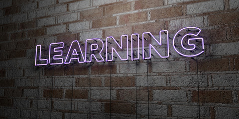 LEARNING - Glowing Neon Sign on stonework wall - 3D rendered royalty free stock illustration.  Can be used for online banner ads and direct mailers..