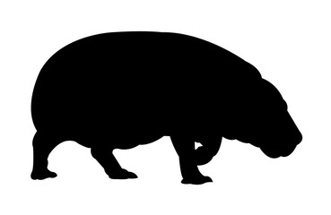 Side View of Hippopotamus Silhouette on White Background