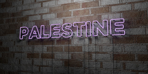 PALESTINE - Glowing Neon Sign on stonework wall - 3D rendered royalty free stock illustration.  Can be used for online banner ads and direct mailers..