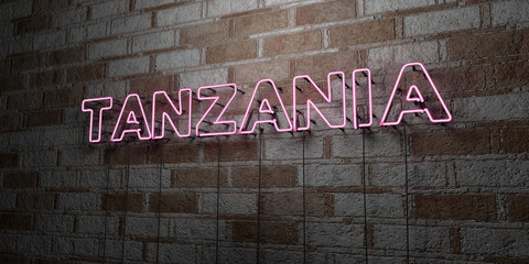 TANZANIA - Glowing Neon Sign on stonework wall - 3D rendered royalty free stock illustration.  Can be used for online banner ads and direct mailers..