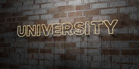 UNIVERSITY - Glowing Neon Sign on stonework wall - 3D rendered royalty free stock illustration.  Can be used for online banner ads and direct mailers..