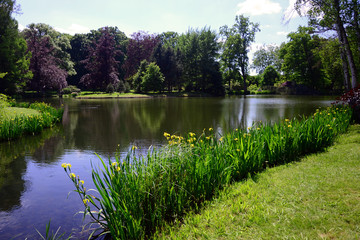 Pond in a colorful park in France