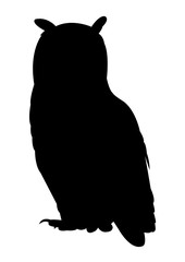 Owl Silhouette on White Background - 129176544