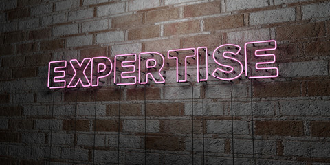 EXPERTISE - Glowing Neon Sign on stonework wall - 3D rendered royalty free stock illustration.  Can be used for online banner ads and direct mailers..
