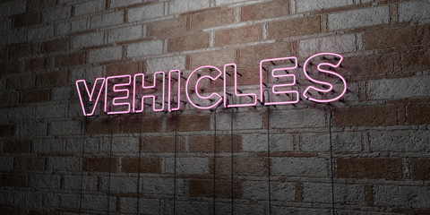 VEHICLES - Glowing Neon Sign on stonework wall - 3D rendered royalty free stock illustration.  Can be used for online banner ads and direct mailers..
