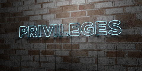 PRIVILEGES - Glowing Neon Sign on stonework wall - 3D rendered royalty free stock illustration.  Can be used for online banner ads and direct mailers..