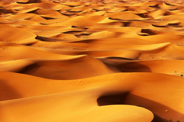 Fototapeta na wymiar Abstract sand pattern in Sahara Desert, Africa