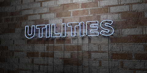 Fototapeta na wymiar UTILITIES - Glowing Neon Sign on stonework wall - 3D rendered royalty free stock illustration. Can be used for online banner ads and direct mailers..