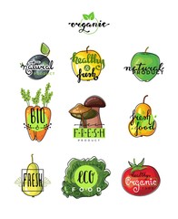 Hand lettering logo of vegetarian ecology fresh food. Hand drawn typeface.