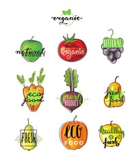 Hand lettering logo of vegetarian ecology fresh food. Hand drawn typeface.