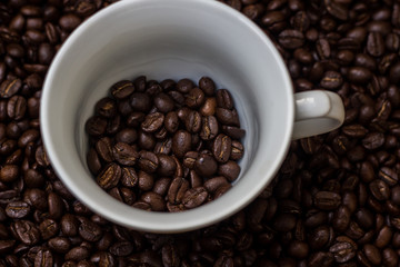 Coffee beans in a cup,cup of coffee with beans