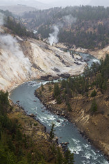Fototapeta na wymiar The Yellowstone River