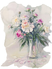 peonies bouquet watercolor isolated