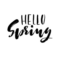 Hand lettered style spring design on a white background. Hello spring hand drawn calligraphy letters. Vector illustration.
