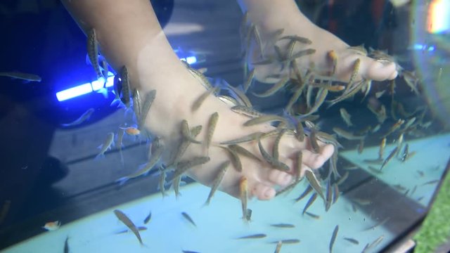 Foot spa by little fish in fresh water by little feet of children