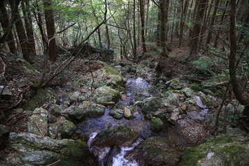 愛媛県　八釜渓谷　山中の風景