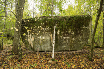 Wolf's Lair,  Adolf Hitler's Bunker in Poland. First Eastern Front military headquarters in World War II. Complex was blown up and abandoned on 1945. Autumn, chaparral grown ruins, trees, leaves.