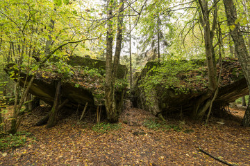 Wolf's Lair Bunker in Poland.