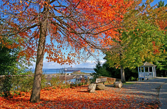 Point Defiance Park In Tacoma WA With Red And Orange Leaves