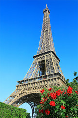 Eiffel tower on sunny morning in Paris, France