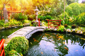 Japanese garden with swimming koi fishes in pond - 129187944