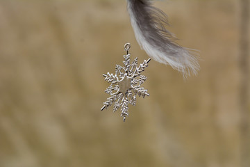 Fototapeta premium Hintergrund Stern Weinachten Dekoration Geschenk