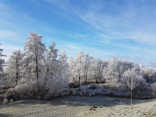 Winterlandschaft