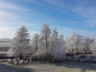 Winterlandschaft