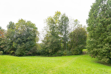 Fototapeta na wymiar Tree, shrub and grass field isolated on white background