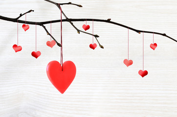 red heart hanging on a tree branch