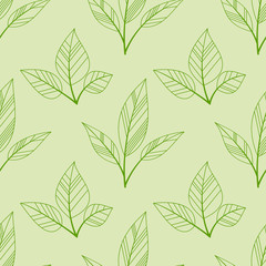 Fototapeta premium green leaves seamless