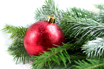 Obraz na płótnie Canvas Red christmas ball and fir branch on white background