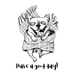 funny dog