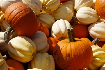 Pumpkins and Squash in a Pile at the Farmer's Market