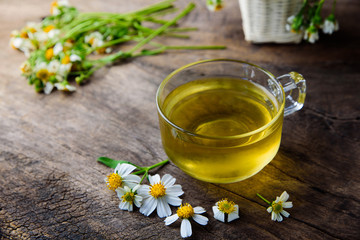 cup of chamomile tea with chamomile flowers