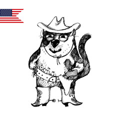 american funny cat
