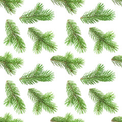 Seamless pattern of fir tree branches isolated on white background, with clipping path