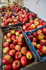 Apples in the crates