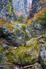 Canyon landscape