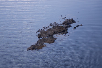 Tümpel mit Sandbank