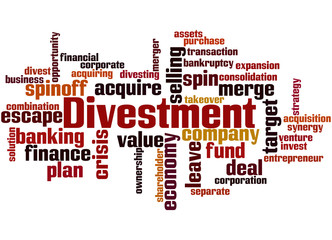 Divestment, word cloud concept 3